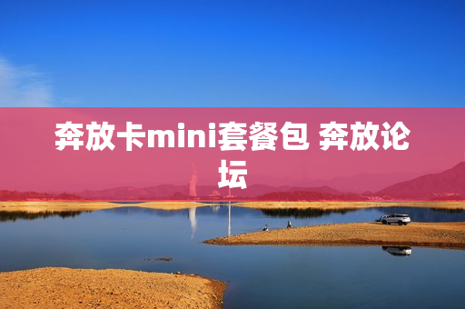 奔放卡mini套餐包 奔放论坛