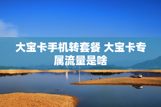 大宝卡手机转套餐 大宝卡专属流量是啥