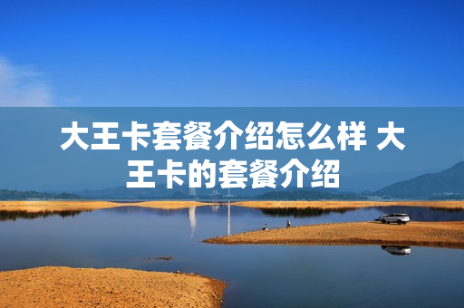 大王卡套餐介绍怎么样 大王卡的套餐介绍