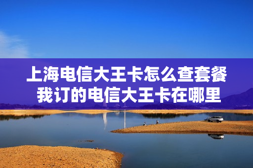 上海电信大王卡怎么查套餐 我订的电信大王卡在哪里查询