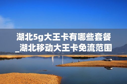 湖北5g大王卡有哪些套餐_湖北移动大王卡免流范围