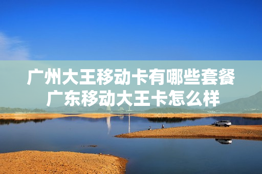 广州大王移动卡有哪些套餐 广东移动大王卡怎么样