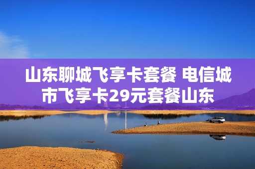 山东聊城飞享卡套餐 电信城市飞享卡29元套餐山东
