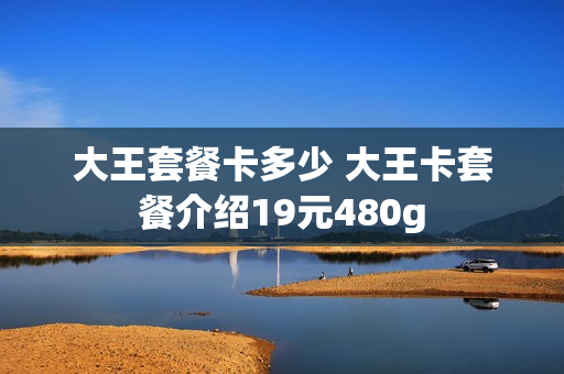 大王套餐卡多少 大王卡套餐介绍19元480g