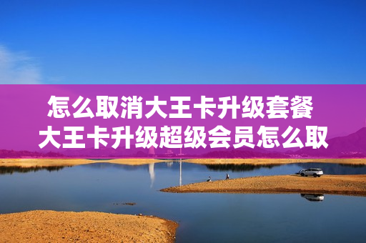 怎么取消大王卡升级套餐 大王卡升级超级会员怎么取消