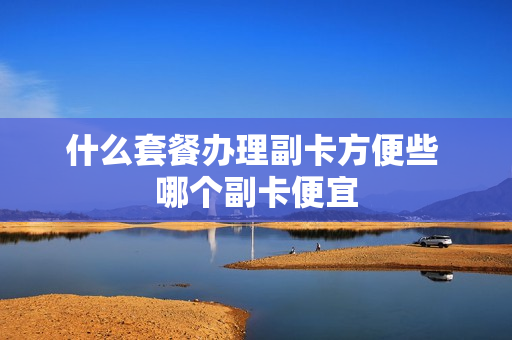 什么套餐办理副卡方便些 哪个副卡便宜