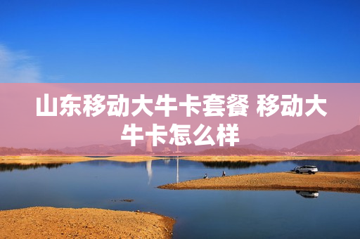 山东移动大牛卡套餐 移动大牛卡怎么样