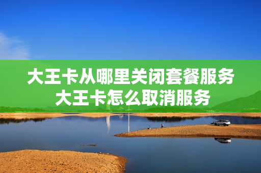 大王卡从哪里关闭套餐服务 大王卡怎么取消服务