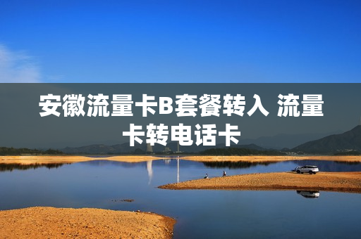 安徽流量卡B套餐转入 流量卡转电话卡