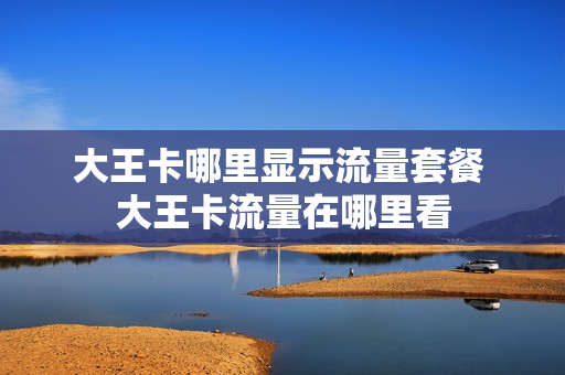 大王卡哪里显示流量套餐 大王卡流量在哪里看