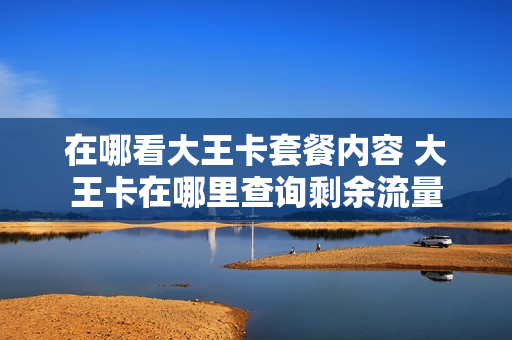 在哪看大王卡套餐内容 大王卡在哪里查询剩余流量