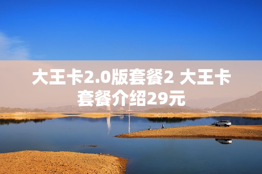 大王卡2.0版套餐2 大王卡套餐介绍29元