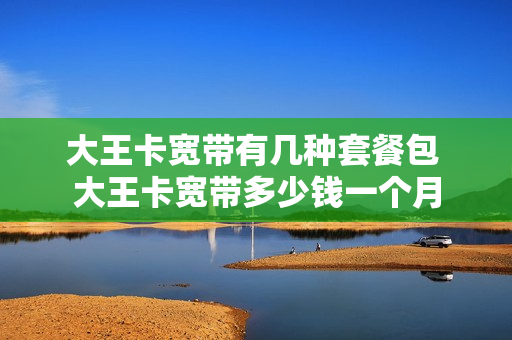 大王卡宽带有几种套餐包 大王卡宽带多少钱一个月