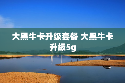 大黑牛卡升级套餐 大黑牛卡升级5g