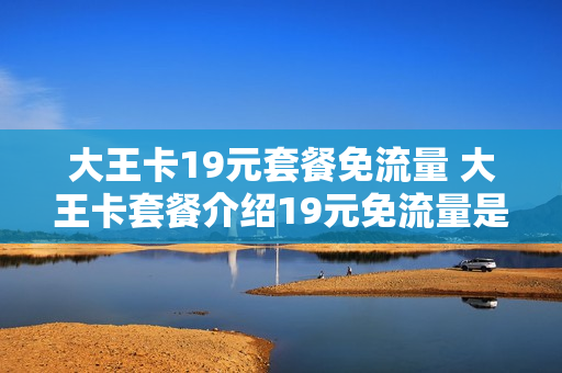 大王卡19元套餐免流量 大王卡套餐介绍19元免流量是什么意思