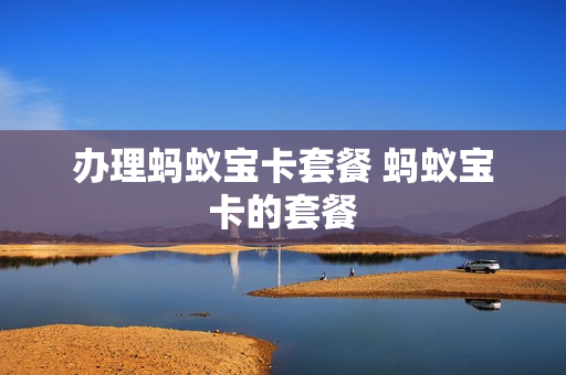 办理蚂蚁宝卡套餐 蚂蚁宝卡的套餐