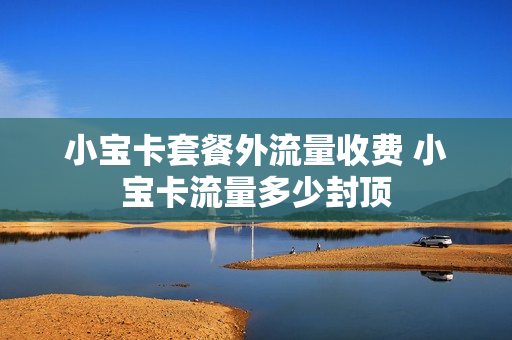 小宝卡套餐外流量收费 小宝卡流量多少封顶