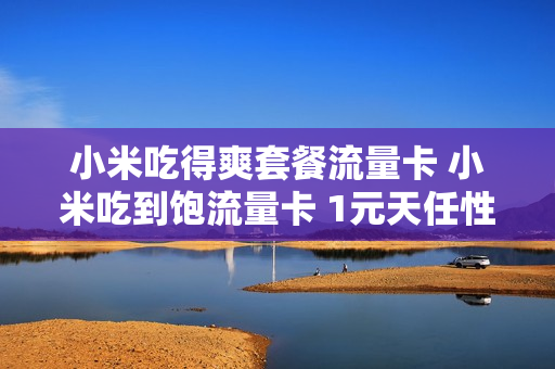 小米吃得爽套餐流量卡 小米吃到饱流量卡 1元天任性用限速