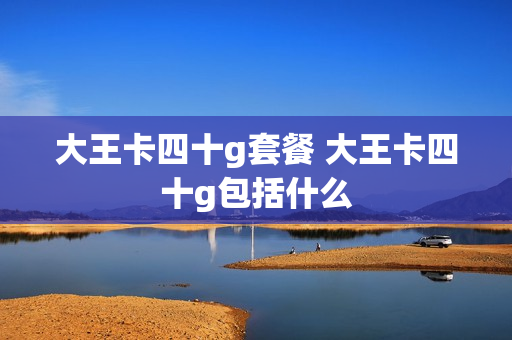 大王卡四十g套餐 大王卡四十g包括什么