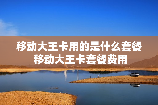 移动大王卡用的是什么套餐 移动大王卡套餐费用