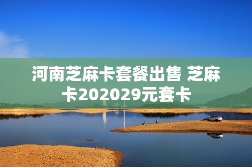 河南芝麻卡套餐出售 芝麻卡202029元套卡