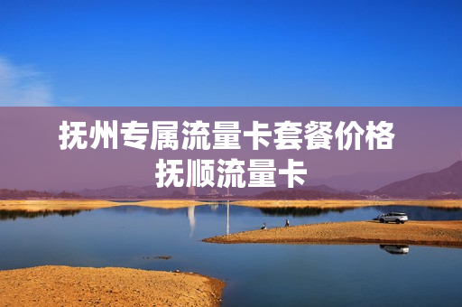 抚州专属流量卡套餐价格 抚顺流量卡