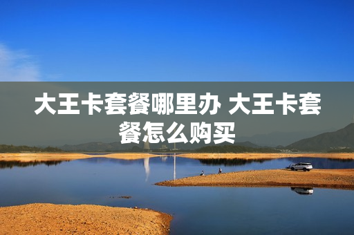 大王卡套餐哪里办 大王卡套餐怎么购买
