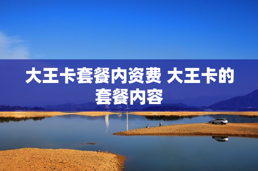 大王卡套餐内资费 大王卡的套餐内容