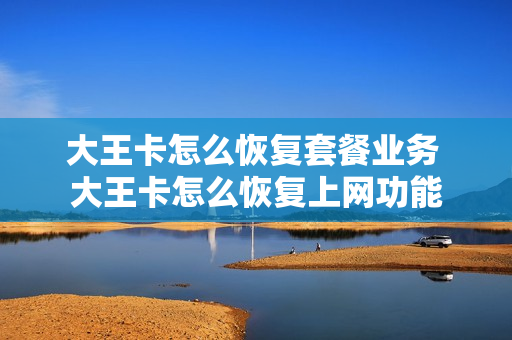 大王卡怎么恢复套餐业务 大王卡怎么恢复上网功能