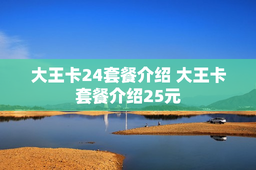 大王卡24套餐介绍 大王卡套餐介绍25元