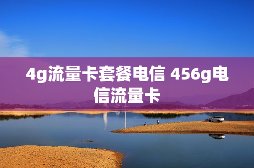 4g流量卡套餐电信 456g电信流量卡