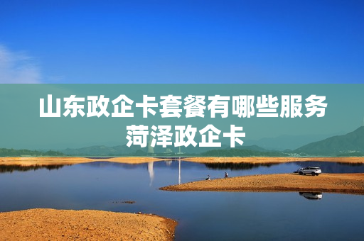 山东政企卡套餐有哪些服务 菏泽政企卡