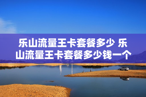乐山流量王卡套餐多少 乐山流量王卡套餐多少钱一个月
