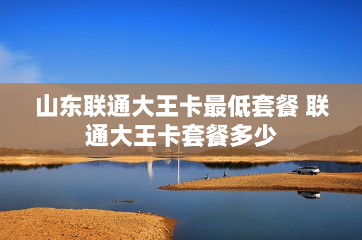 山东联通大王卡最低套餐 联通大王卡套餐多少