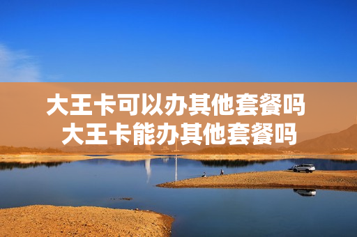大王卡可以办其他套餐吗 大王卡能办其他套餐吗