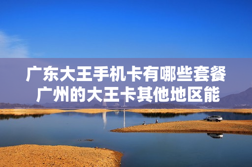 广东大王手机卡有哪些套餐 广州的大王卡其他地区能用吗