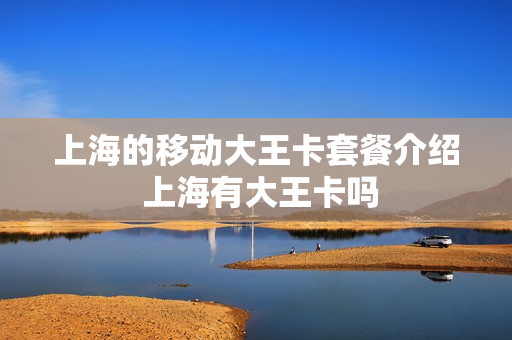 上海的移动大王卡套餐介绍 上海有大王卡吗