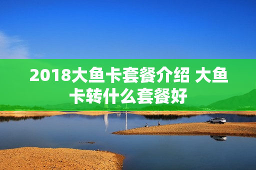 2018大鱼卡套餐介绍 大鱼卡转什么套餐好