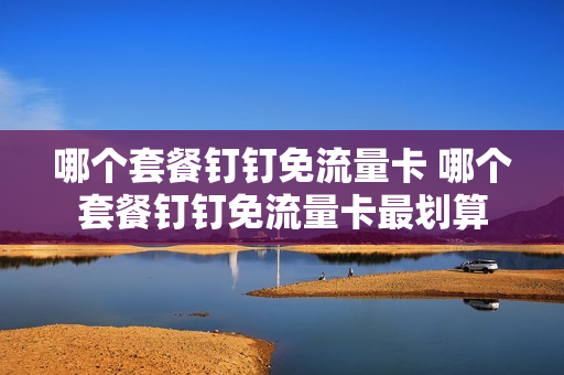 哪个套餐钉钉免流量卡 哪个套餐钉钉免流量卡最划算
