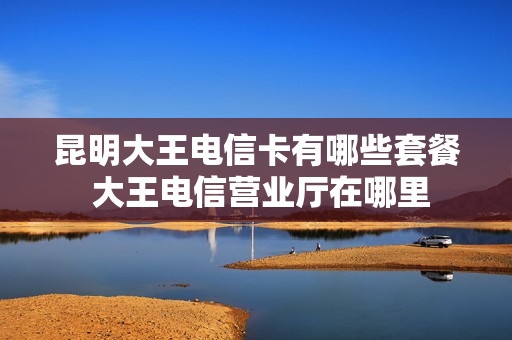 昆明大王电信卡有哪些套餐 大王电信营业厅在哪里