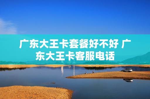 广东大王卡套餐好不好 广东大王卡客服电话