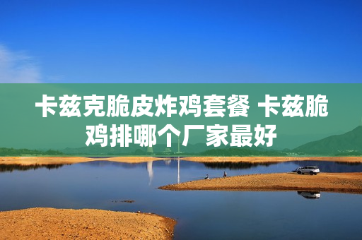 卡兹克脆皮炸鸡套餐 卡兹脆鸡排哪个厂家最好