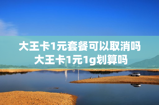 大王卡1元套餐可以取消吗 大王卡1元1g划算吗