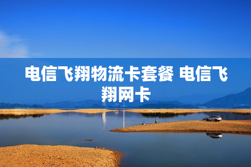 电信飞翔物流卡套餐 电信飞翔网卡