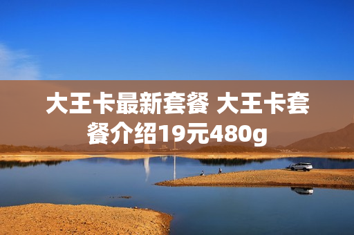 大王卡最新套餐 大王卡套餐介绍19元480g
