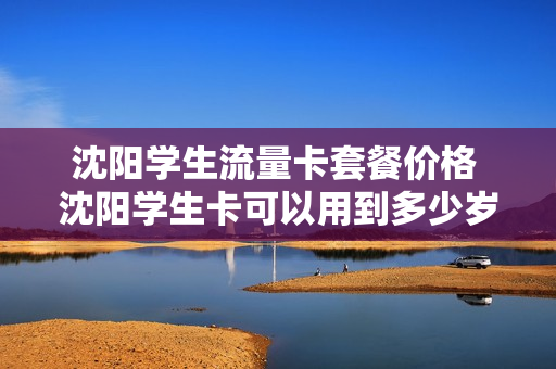 沈阳学生流量卡套餐价格 沈阳学生卡可以用到多少岁