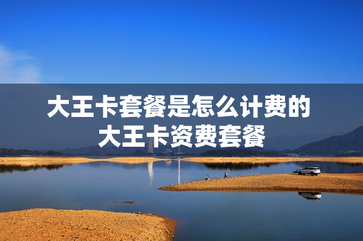 大王卡套餐是怎么计费的 大王卡资费套餐