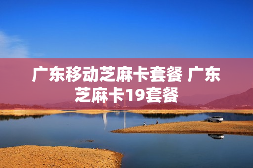 广东移动芝麻卡套餐 广东芝麻卡19套餐