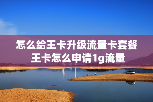 怎么给王卡升级流量卡套餐 王卡怎么申请1g流量