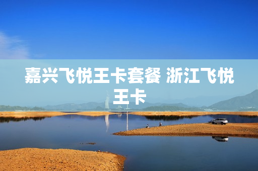 嘉兴飞悦王卡套餐 浙江飞悦王卡